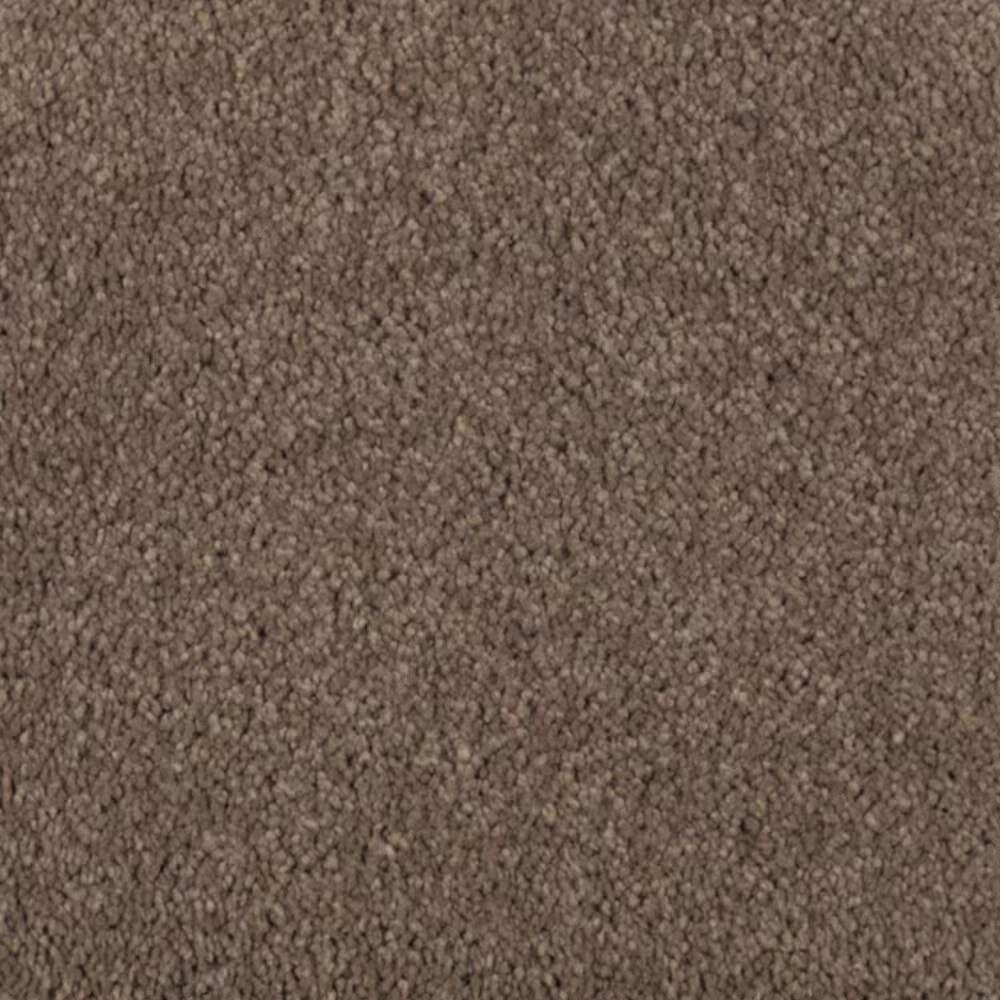Mohawk Windsor Gardens I Carpet in Nutmeg