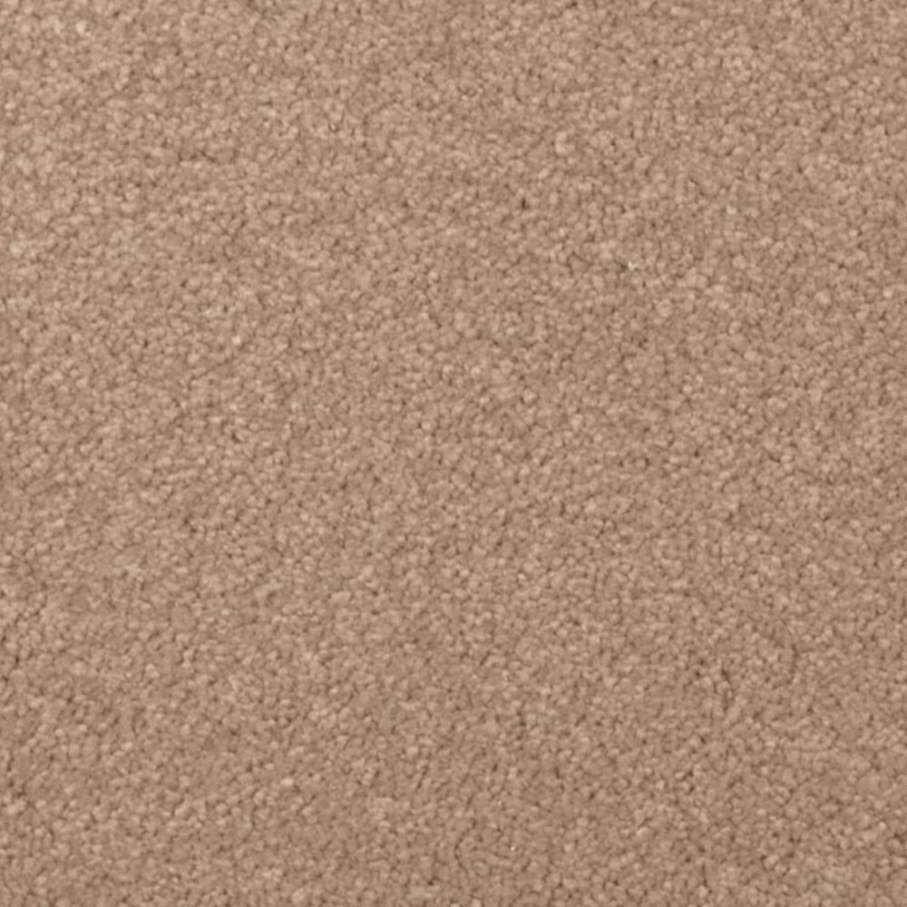 Mohawk Windsor Gardens I Carpet in Spiced Tea