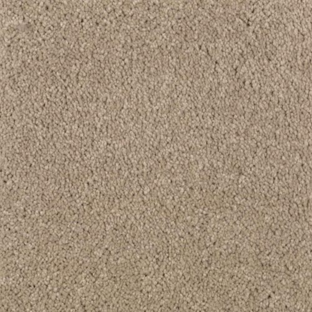 Mohawk Windsor Gardens I Carpet in Hearth Beige