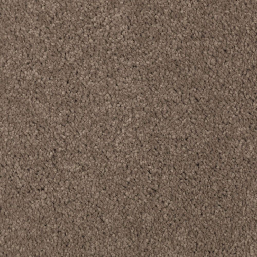 Mohawk Windsor Gardens I Carpet in Pine Cone