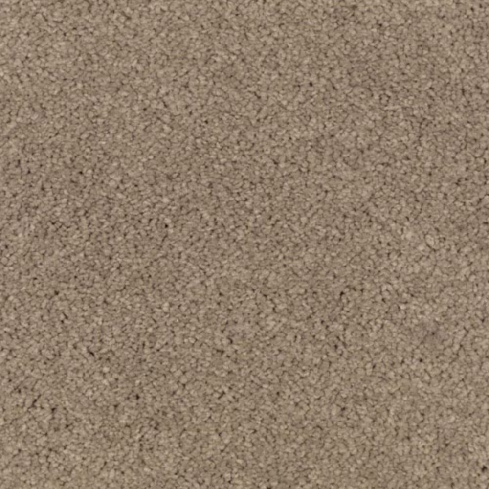 Mohawk Windsor Gardens I Carpet in Urban Taupe