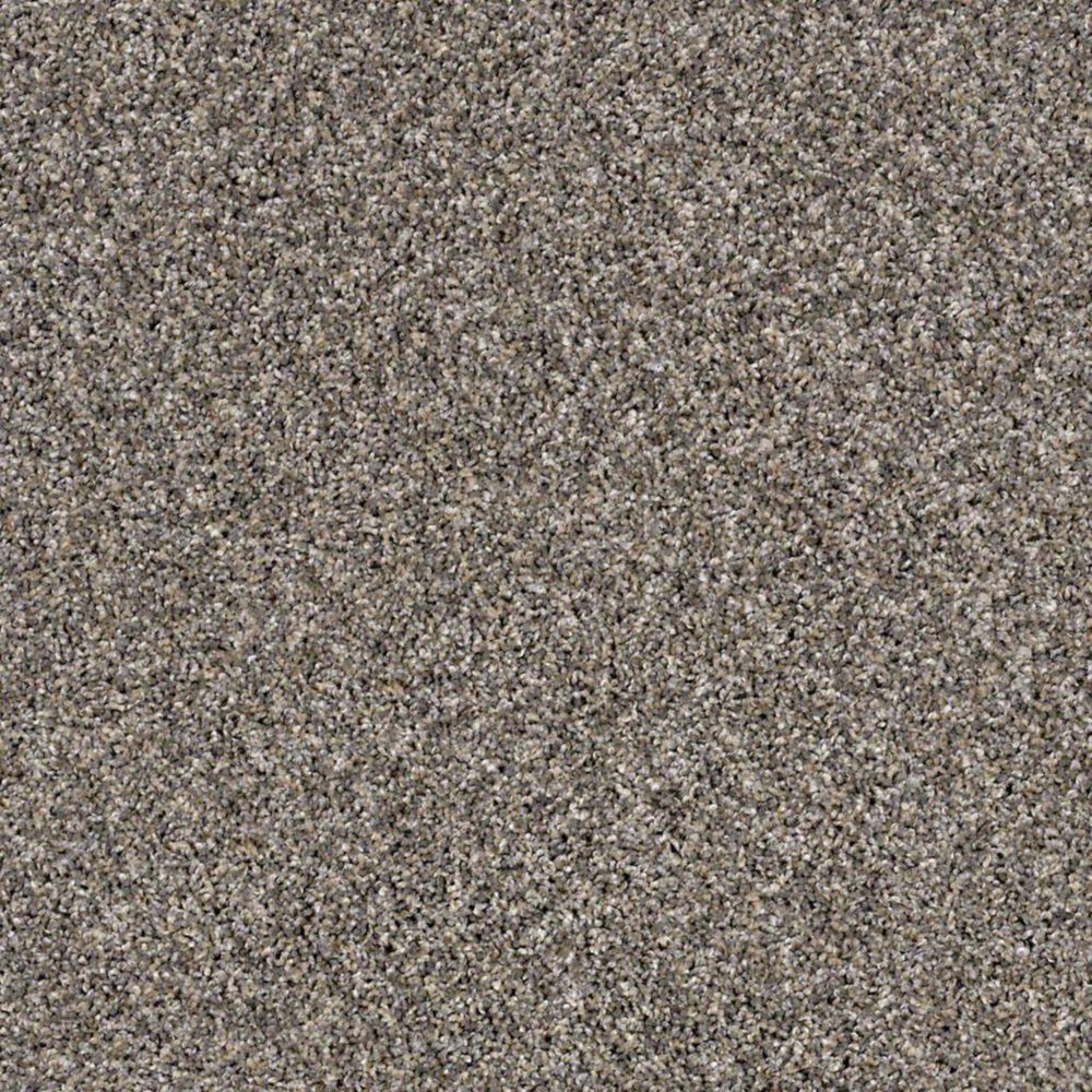 Shaw Frosting Carpet in Goose Feather