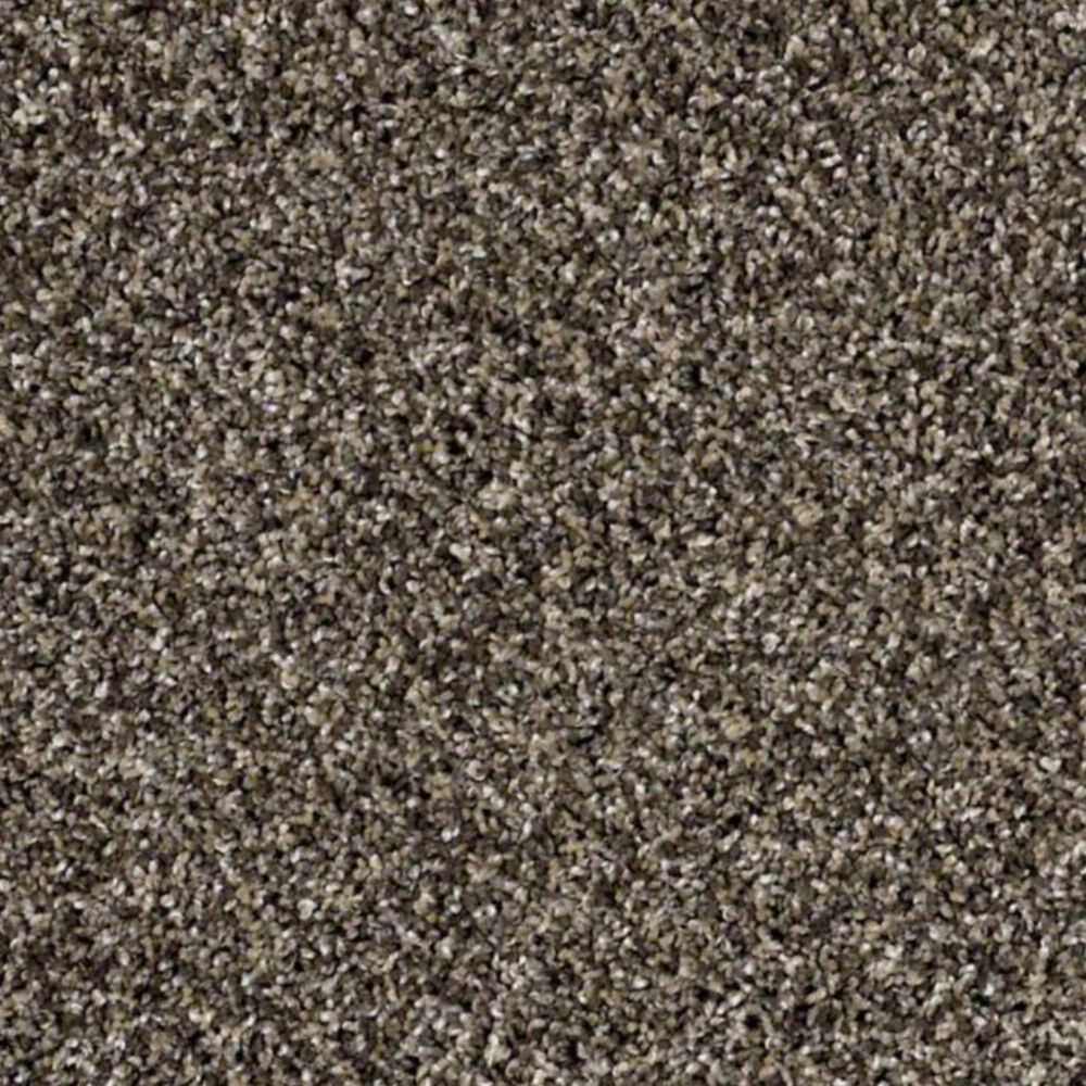 Shaw Frosting Carpet in Fossil