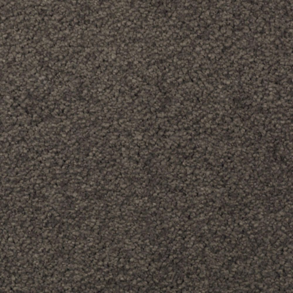 Mohawk Windsor Gardens I Carpet in Wrought Iron