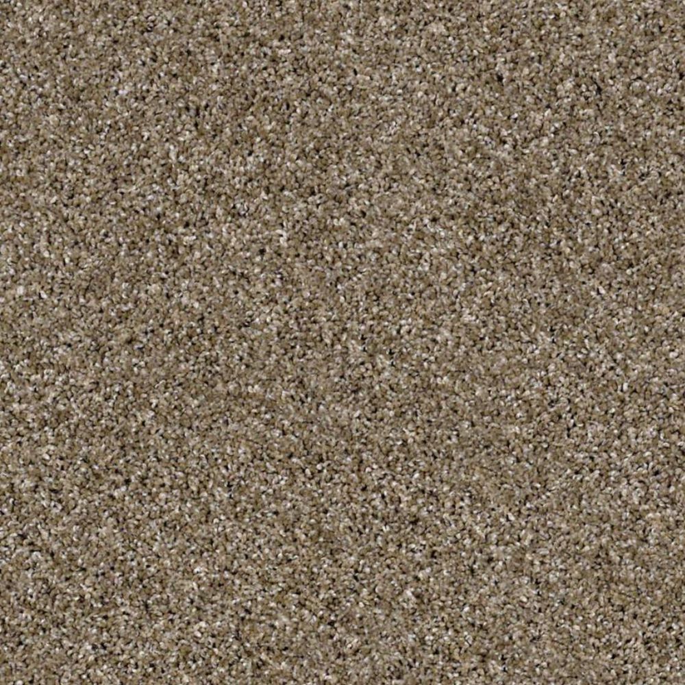 Shaw Frosting Carpet in Dirt Road