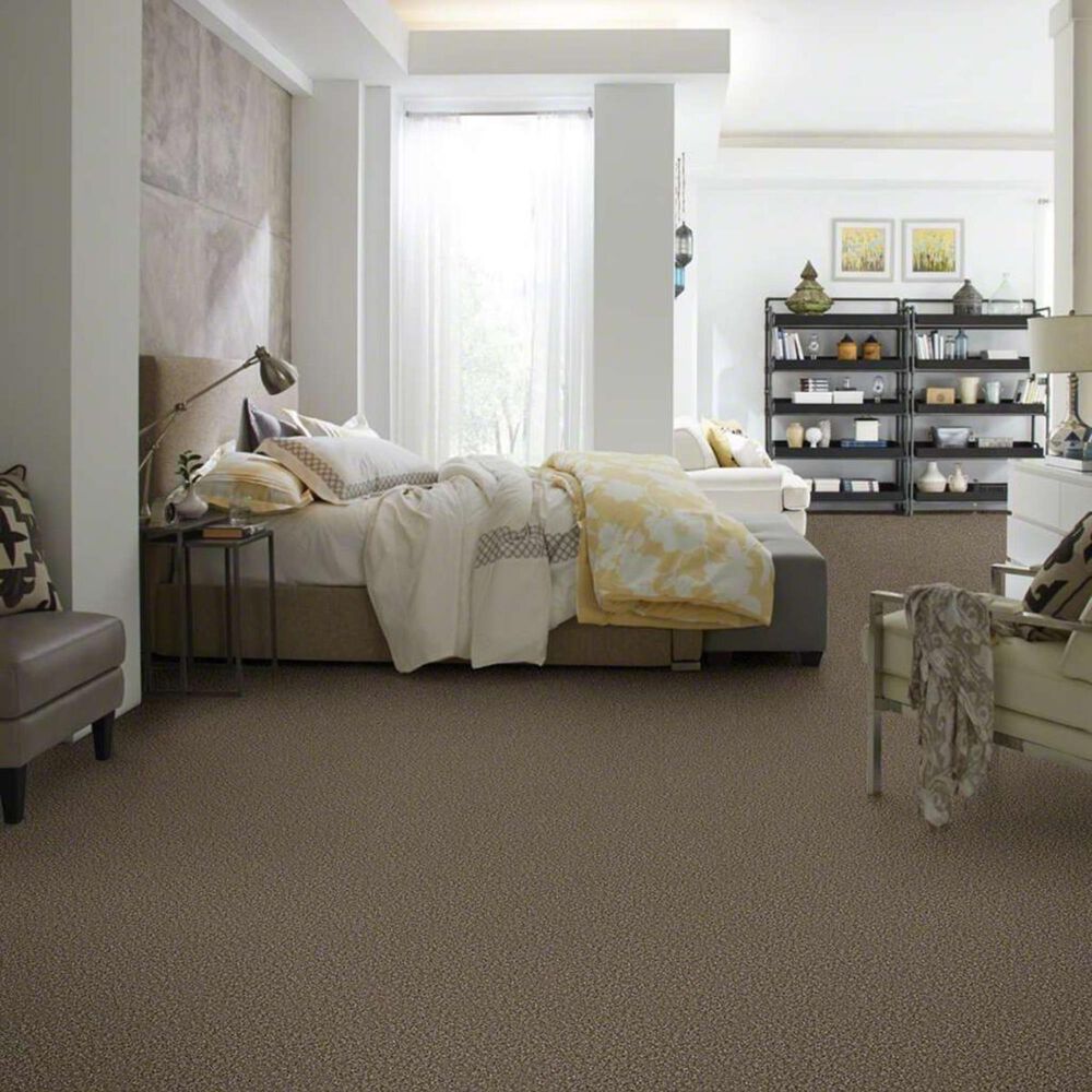 7248-shaw-frosting-carpet-in-sweet-tea-1.jpg
