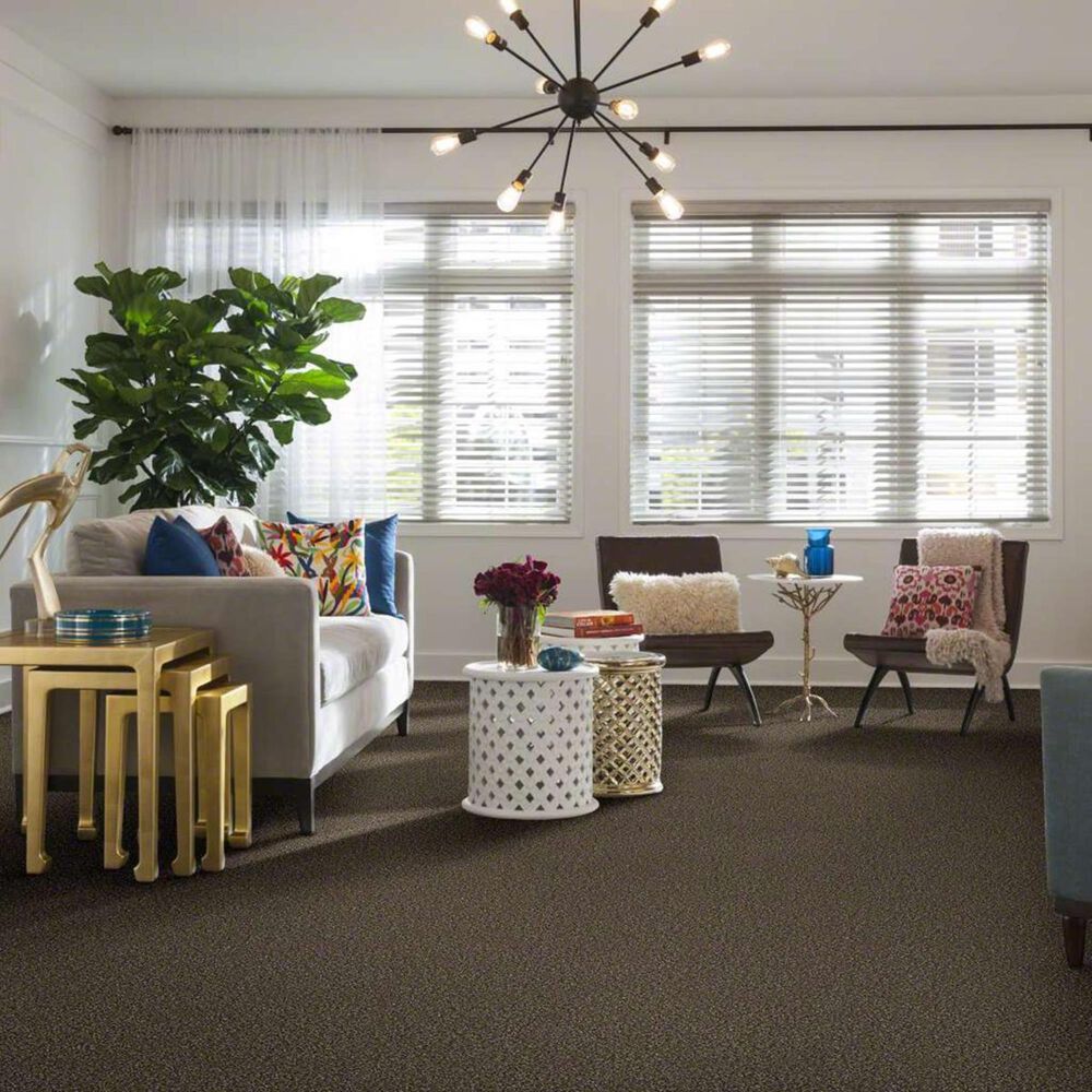 7248-shaw-frosting-carpet-in-sweet-tea-1.jpg