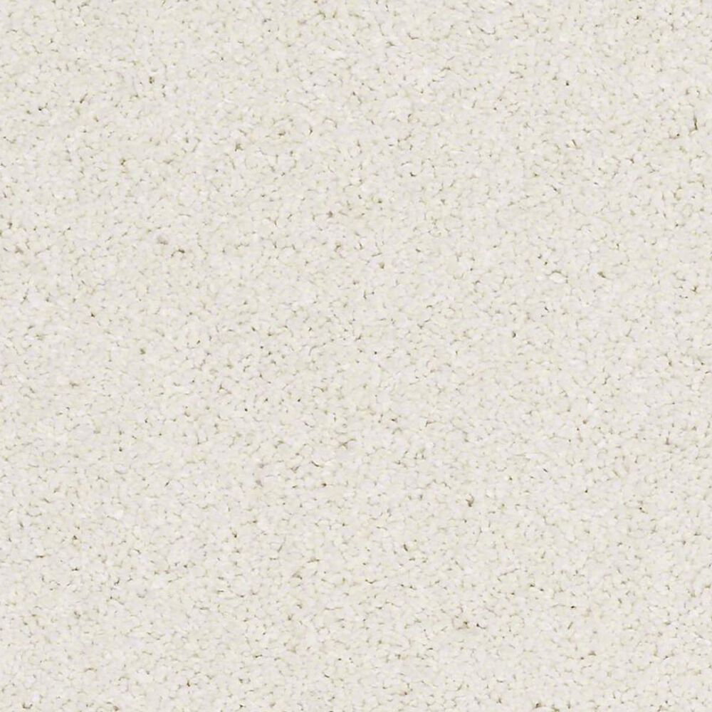 Anderson Tuftex Barracan Classic III Carpet in Icelandic