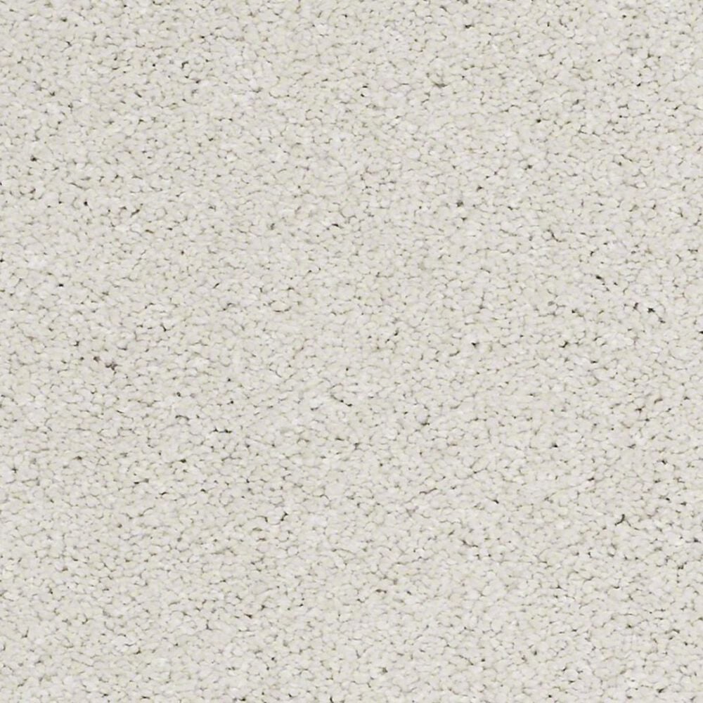 Anderson Tuftex Barracan Classic III Carpet in Suffolk