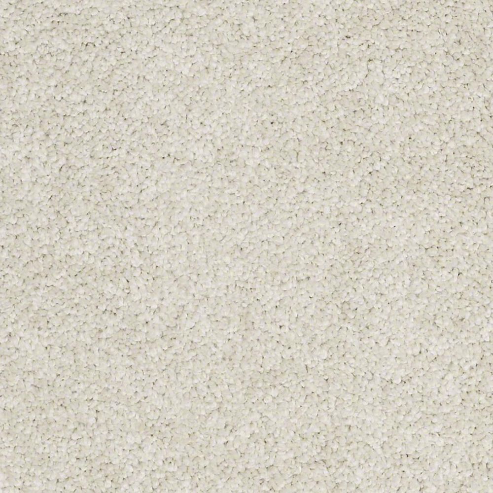 Anderson Tuftex Barracan Classic III Carpet in Cheviot