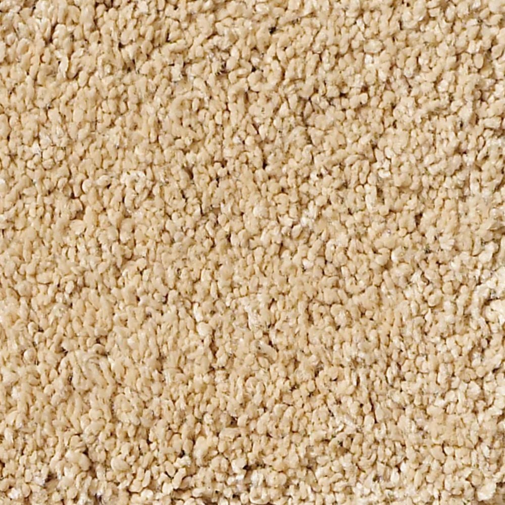 Anderson Tuftex Barracan Classic III Carpet in Manilla