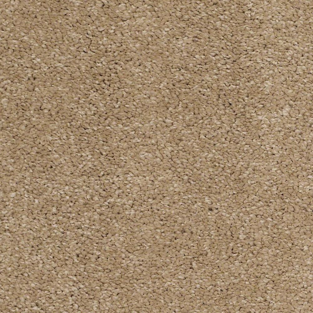 Anderson Tuftex Barracan Classic III Carpet in Brass Lantern