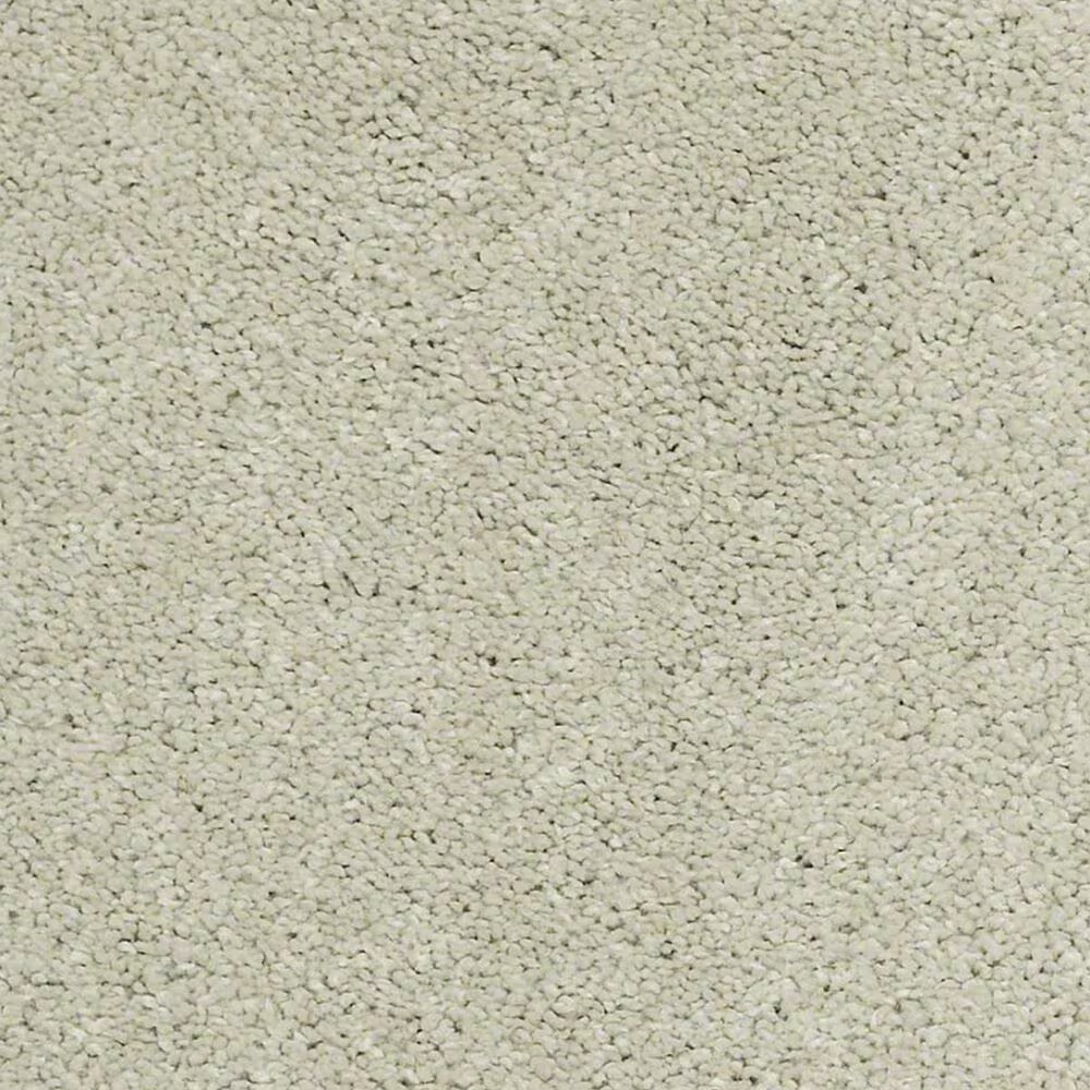 Anderson Tuftex Barracan Classic III Carpet in Celadon