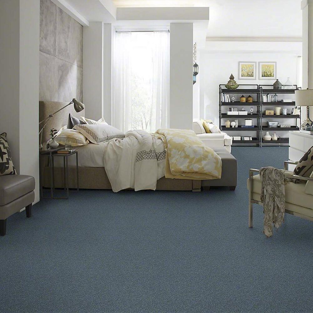 Anderson Tuftex Barracan Classic III Carpet in Boheme
