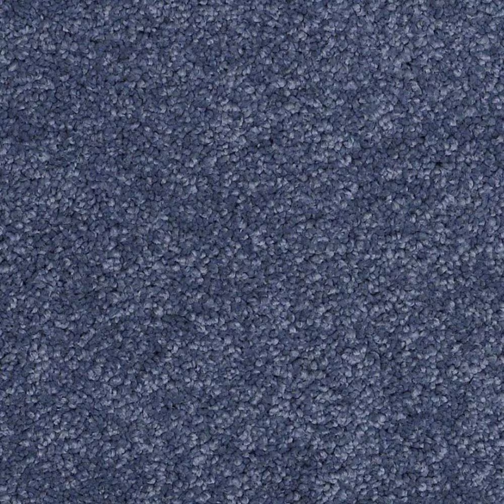 Anderson Tuftex Barracan Classic III Carpet in True Blue