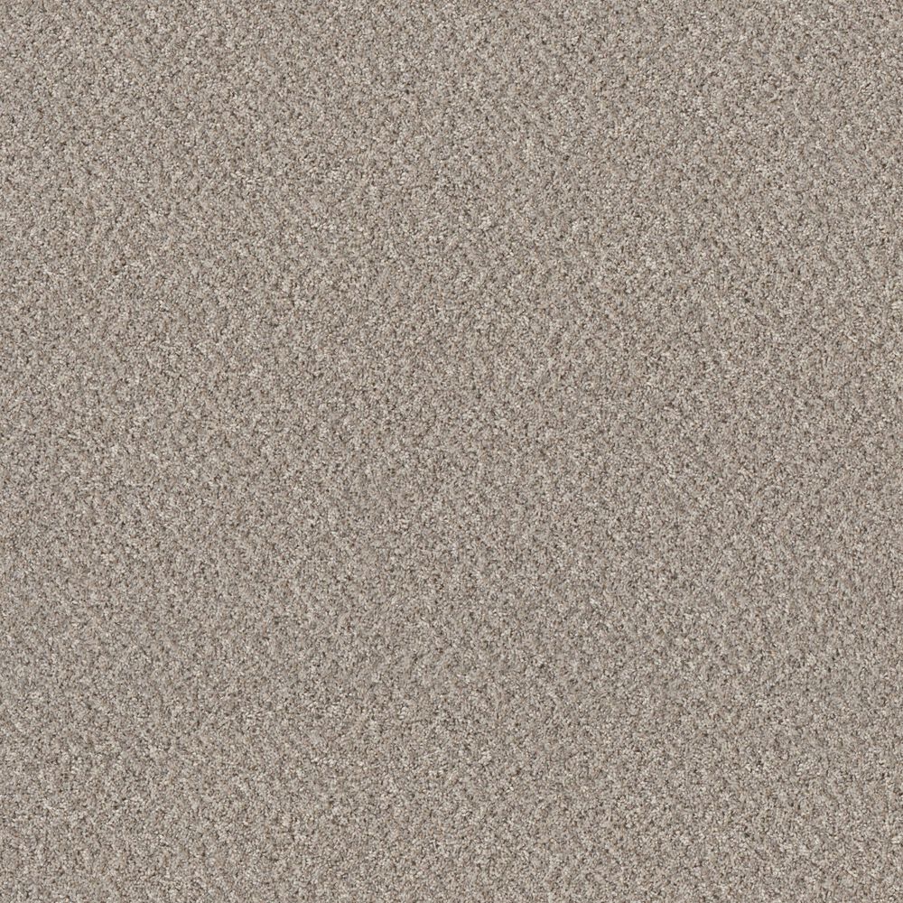 Shaw Mixed Essentials Carpet in Sandstone