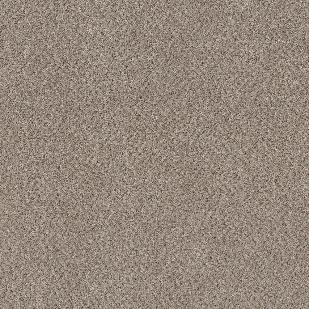 Shaw Mixed Essentials Carpet in Grecian Beige