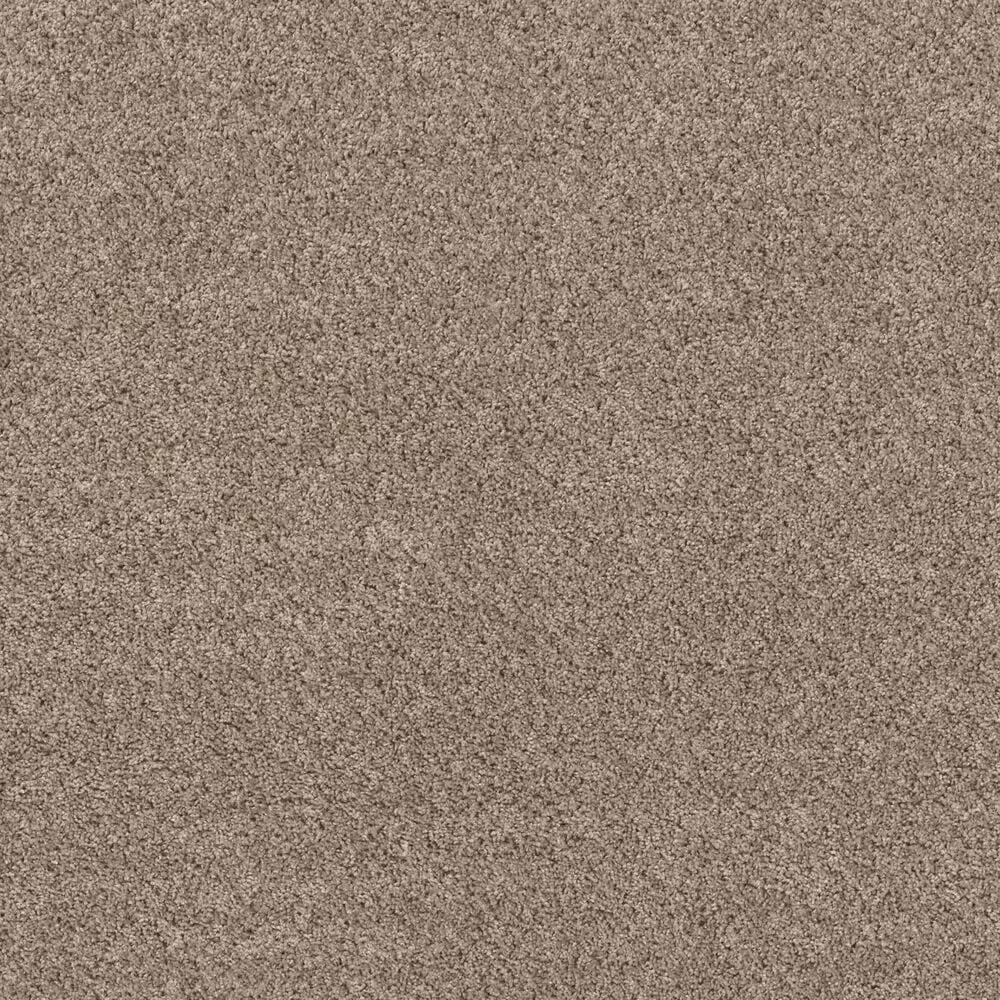Shaw Mixed Essentials Carpet in Sunkissed