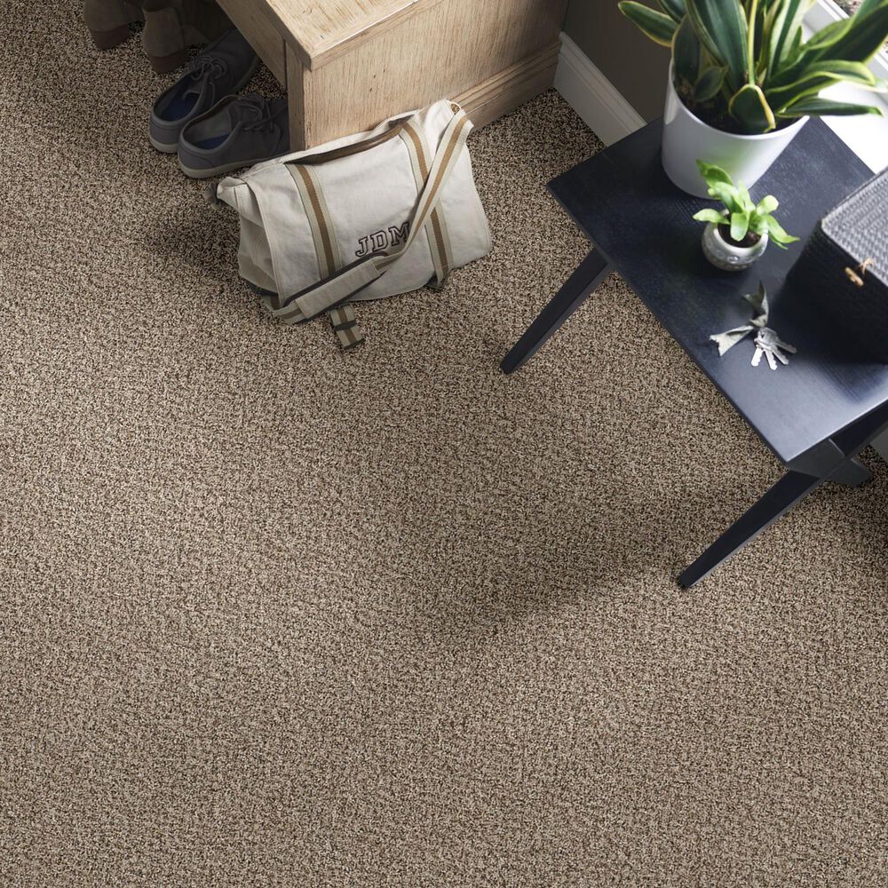 72717-shaw-mixed-essentials-carpet-in-resort-beach-1.jpg