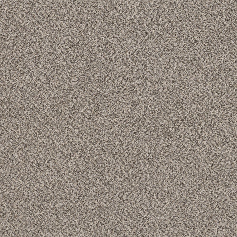 Shaw Mixed Essentials Carpet in Dove Feather