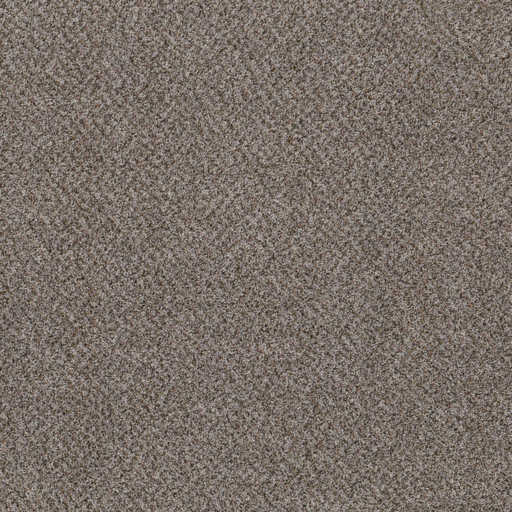 Shaw Mixed Essentials Carpet in Caldera