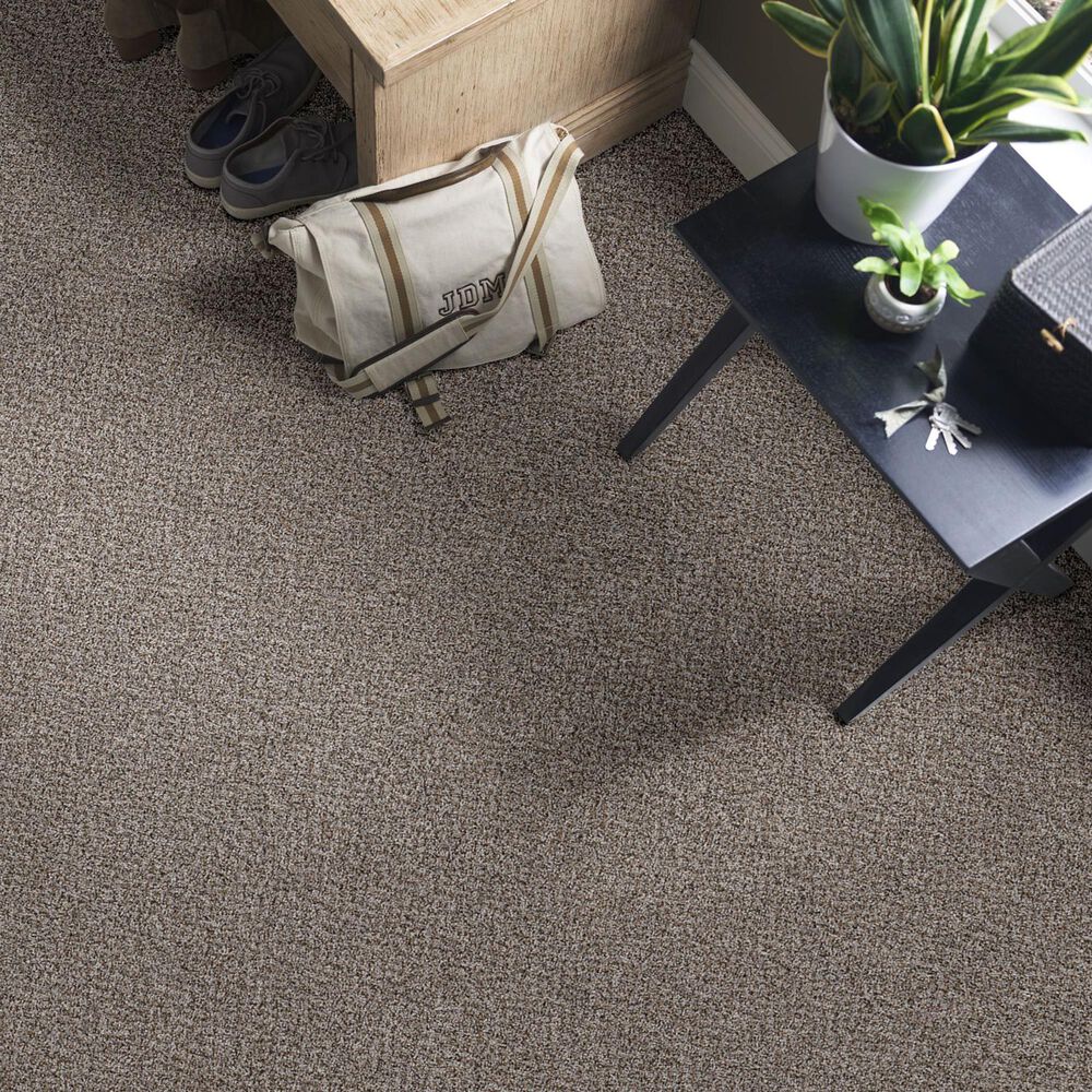 72719-shaw-mixed-essentials-carpet-in-caldera-1.jpg