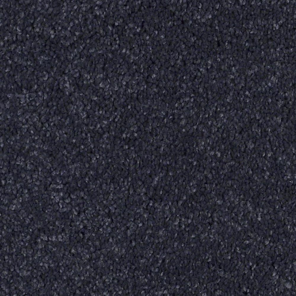 Anderson Tuftex Barracan Classic III Carpet in Deep Indigo