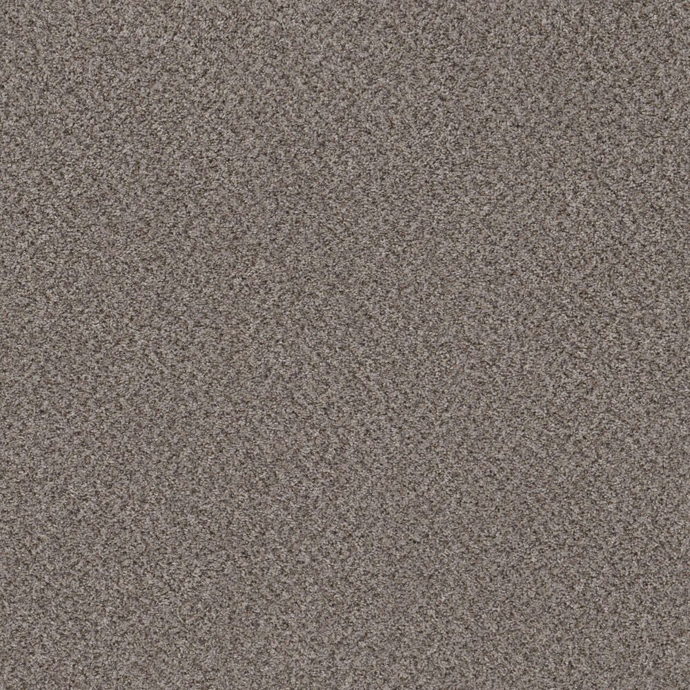 Shaw Mixed Essentials Carpet in Oyster