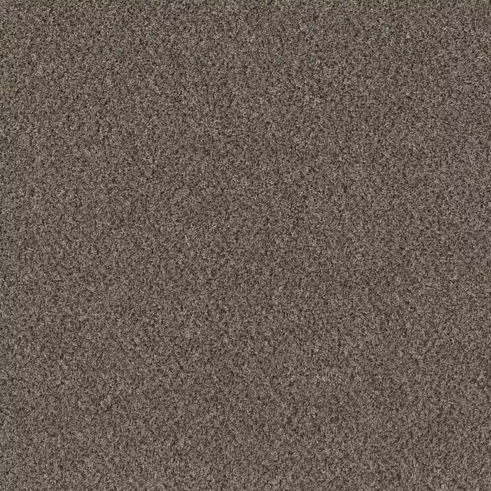 Shaw Mixed Essentials Carpet in Raven