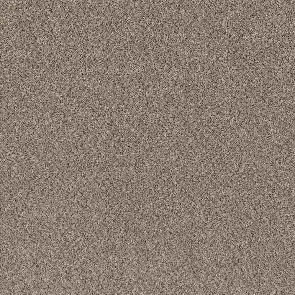 Shaw Mixed Essentials Carpet in Baltic Stone