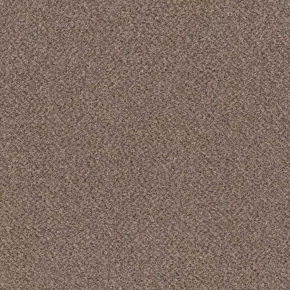 Shaw Mixed Essentials Carpet in Primitive