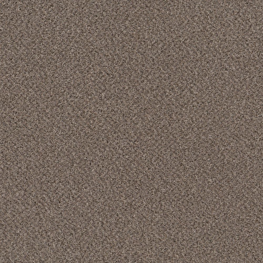Shaw Mixed Essentials Carpet in Burro Brown