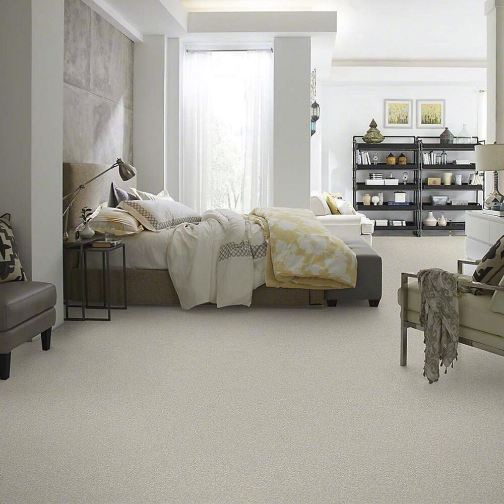 7273-anderson-tuftex-barracan-classic-iii-carpet-in-sterling-1.jpg