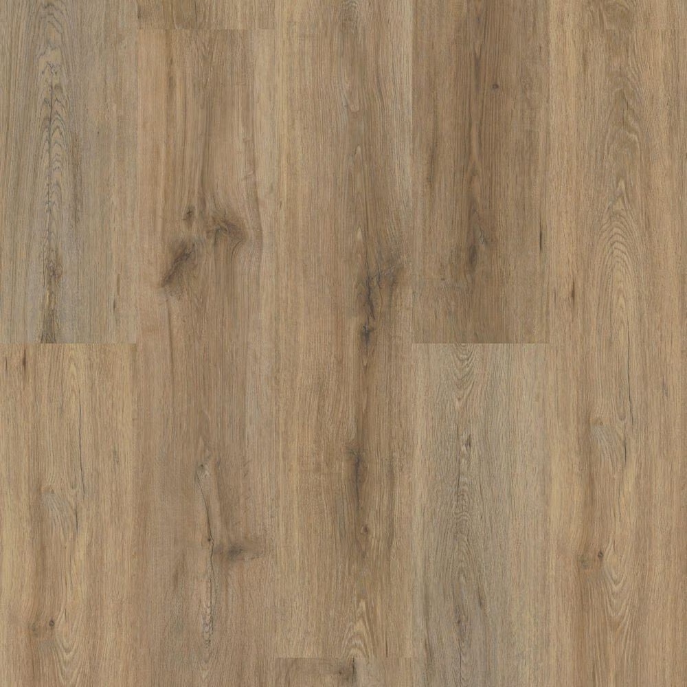 Shaw Paladin Plus 7" x 48" Vinyl Plank in Wild Dunes