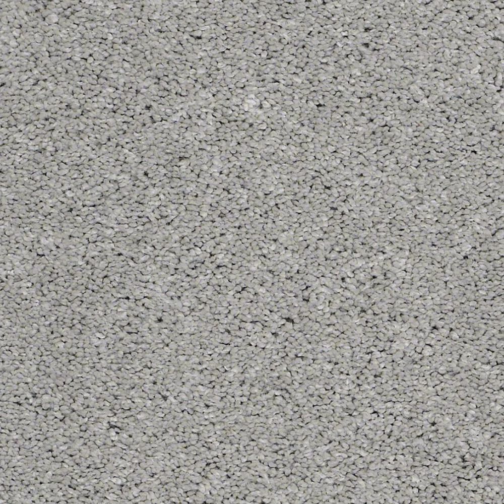 Anderson Tuftex Barracan Classic III Carpet in Haze