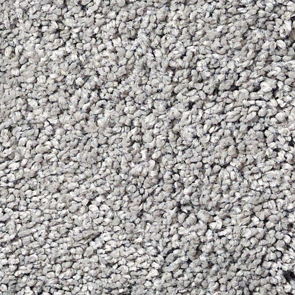 Anderson Tuftex Barracan Classic III Carpet in Birch Bark
