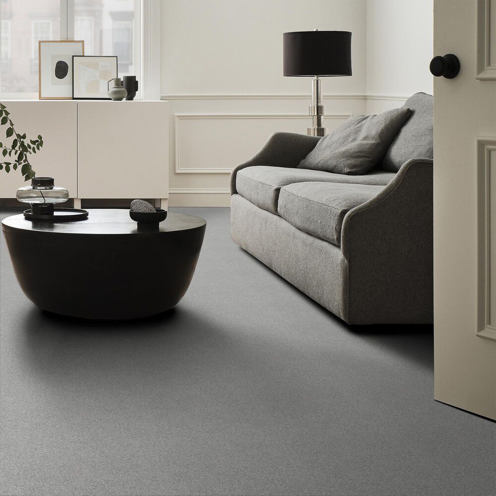 7276-anderson-tuftex-barracan-classic-iii-carpet-in-birch-bark-1.jpg