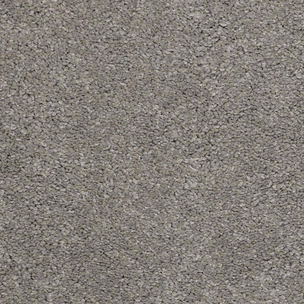 Anderson Tuftex Barracan Classic III Carpet in Barnboard