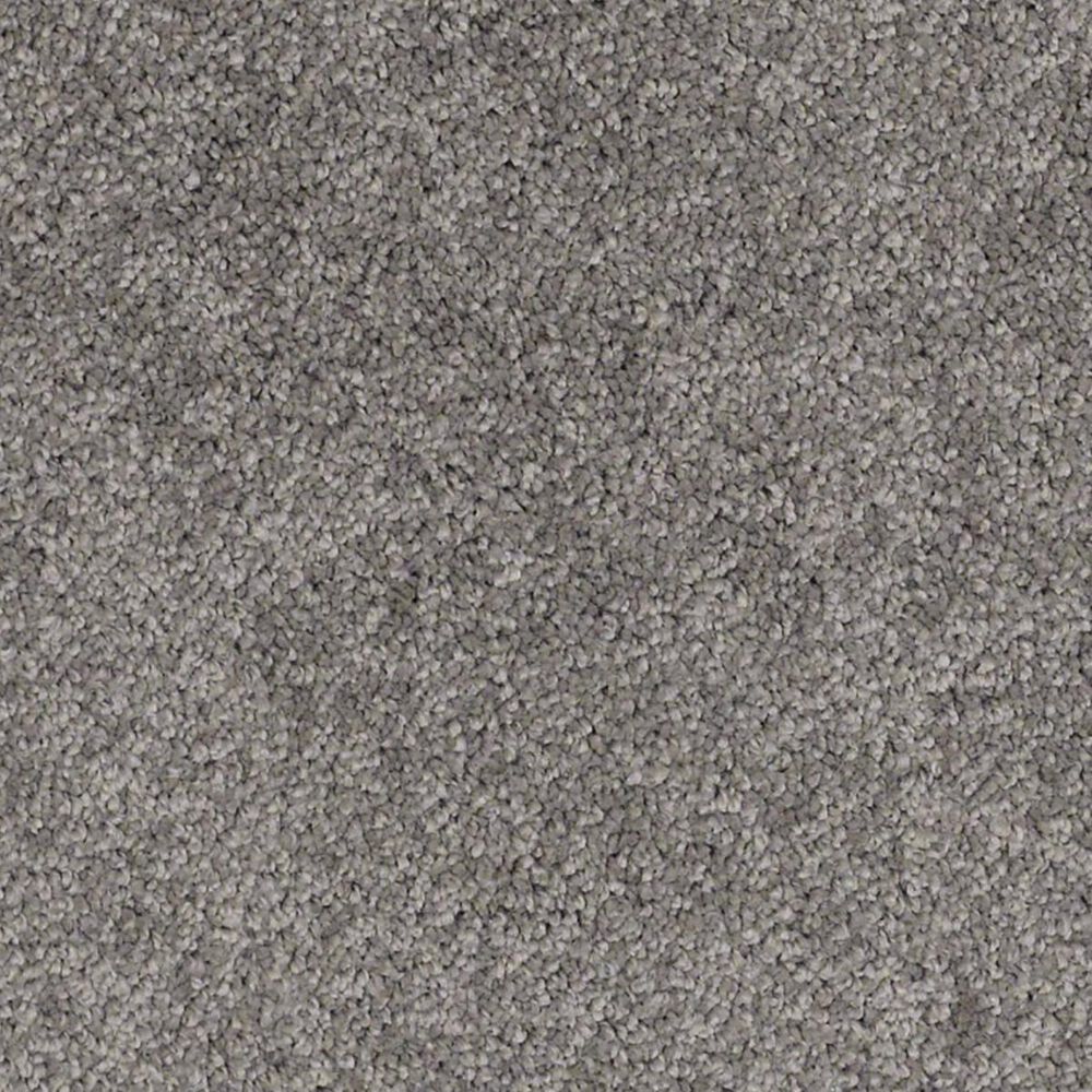 Anderson Tuftex Barracan Classic III Carpet in Chinchilla