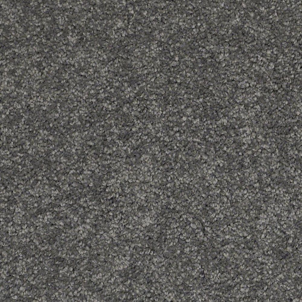 Anderson Tuftex Barracan Classic III Carpet in Onyx