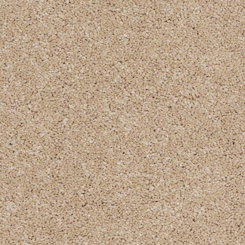 Anderson Tuftex Barracan Classic III Carpet in Maplewood North