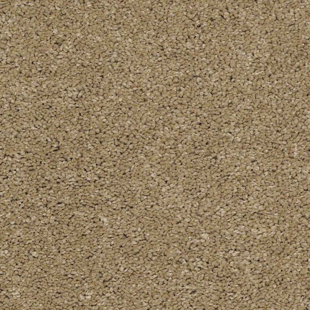 Anderson Tuftex Barracan Classic III Carpet in Navajo