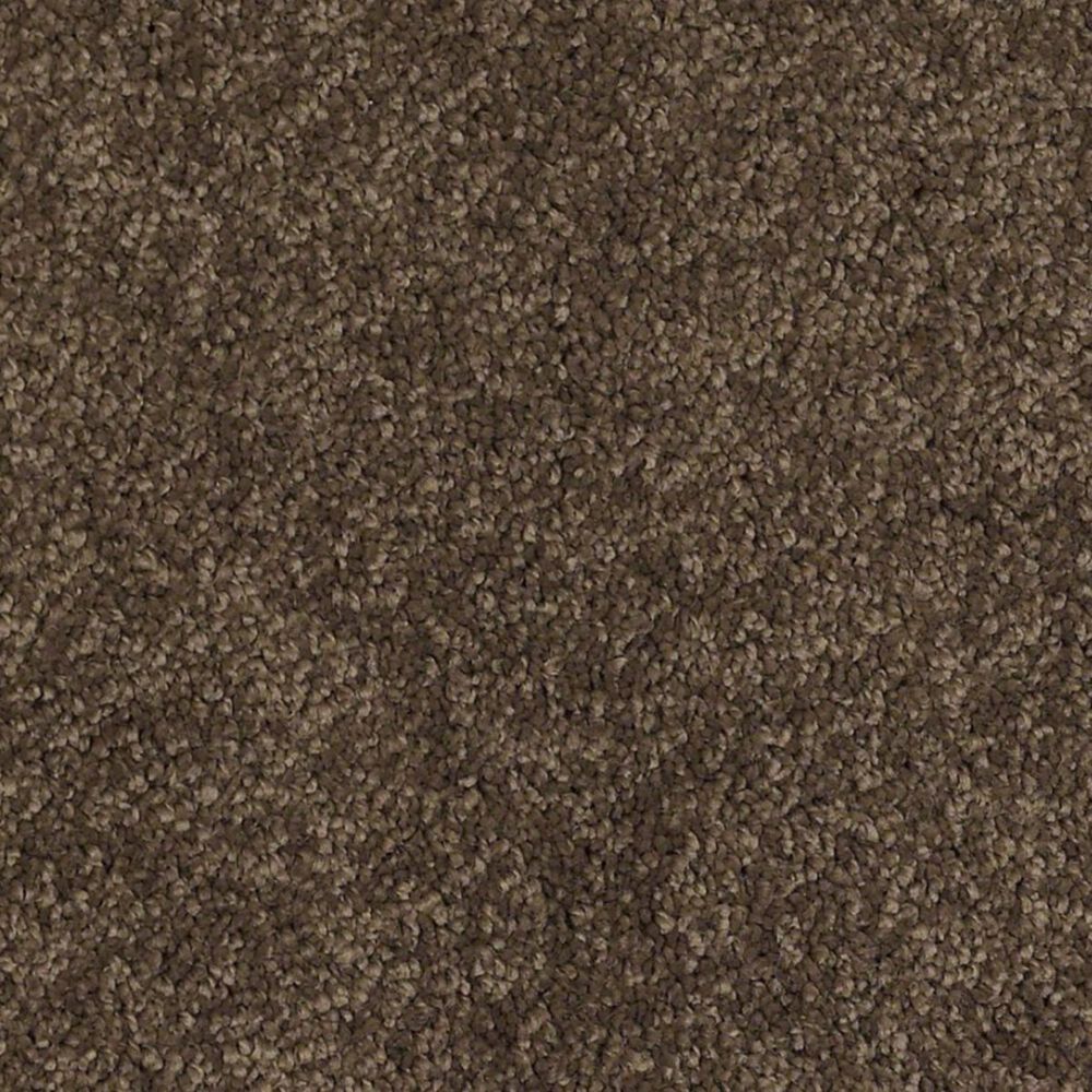 Anderson Tuftex Barracan Classic III Carpet in Bison