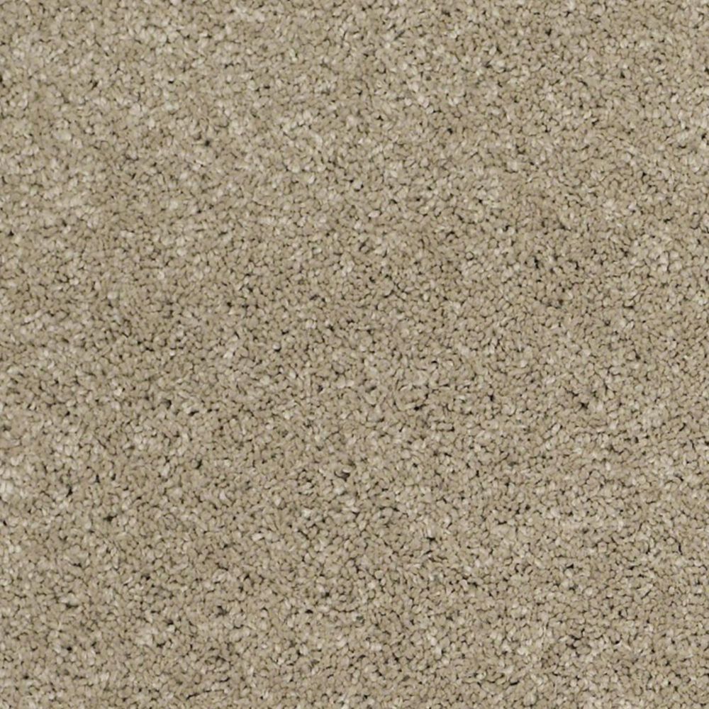 Anderson Tuftex Barracan Classic III Carpet in Pecan Bark