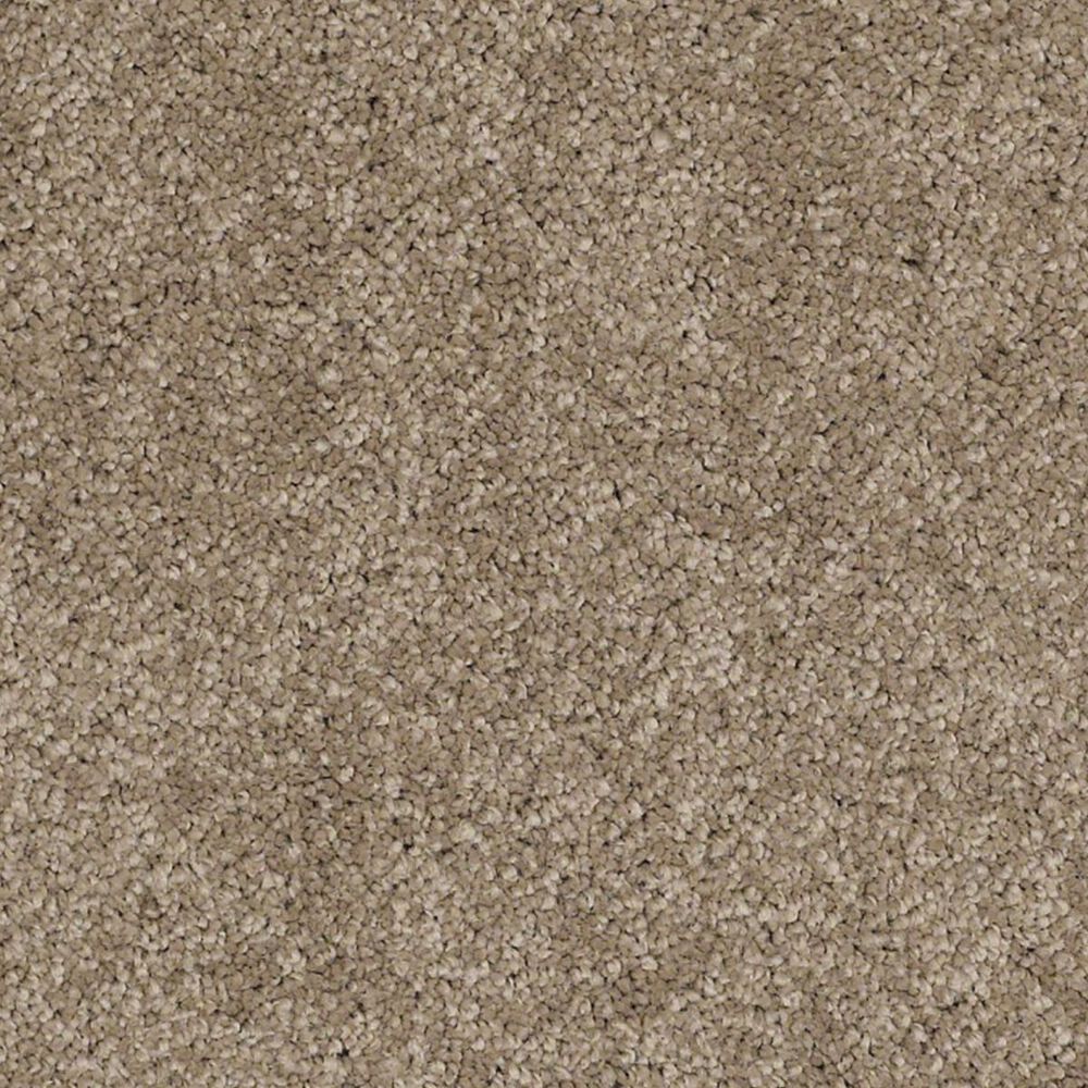 Anderson Tuftex Barracan Classic III Carpet in Pebble Path