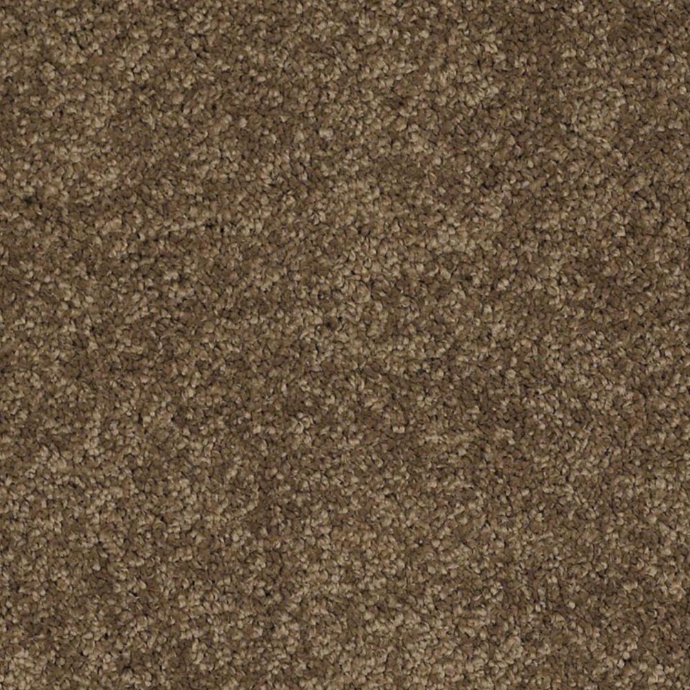 Anderson Tuftex Barracan Classic III Carpet in Tobacco Leaf