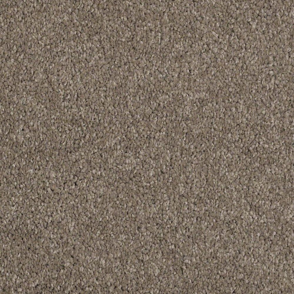 Anderson Tuftex Barracan Classic III Carpet in Mesquite
