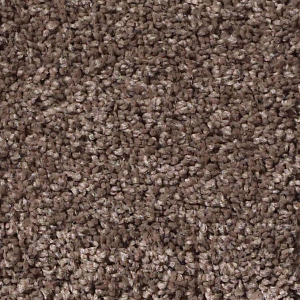 Anderson Tuftex Barracan Classic III Carpet in Spring Wood