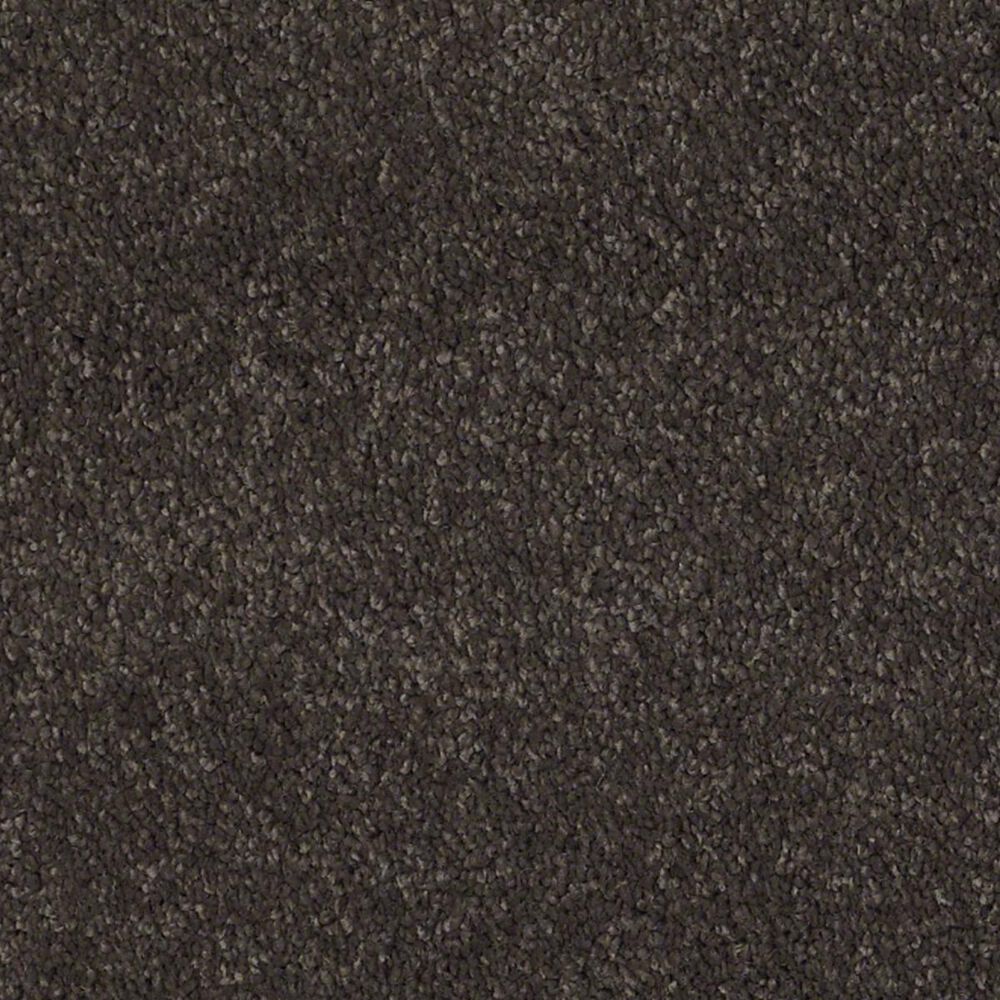 Anderson Tuftex Barracan Classic III Carpet in Chestnut