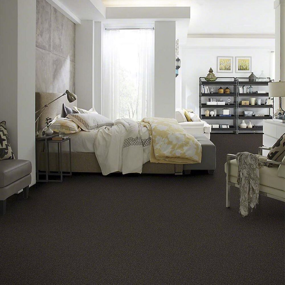 7294-anderson-tuftex-barracan-classic-iii-carpet-in-chestnut-1.jpg